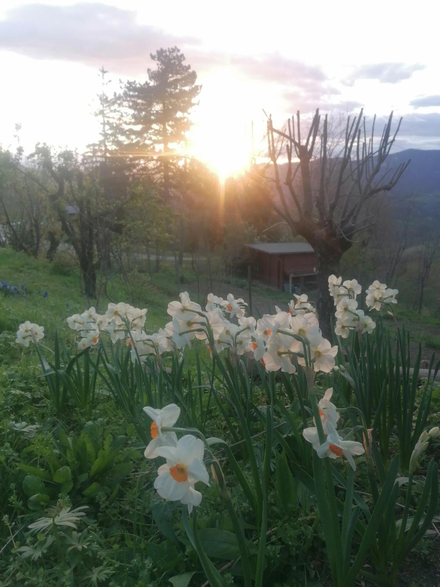 Ca' Dei Ste Bed & Breakfast Valle  ภายนอก รูปภาพ